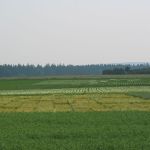 IMG 1936